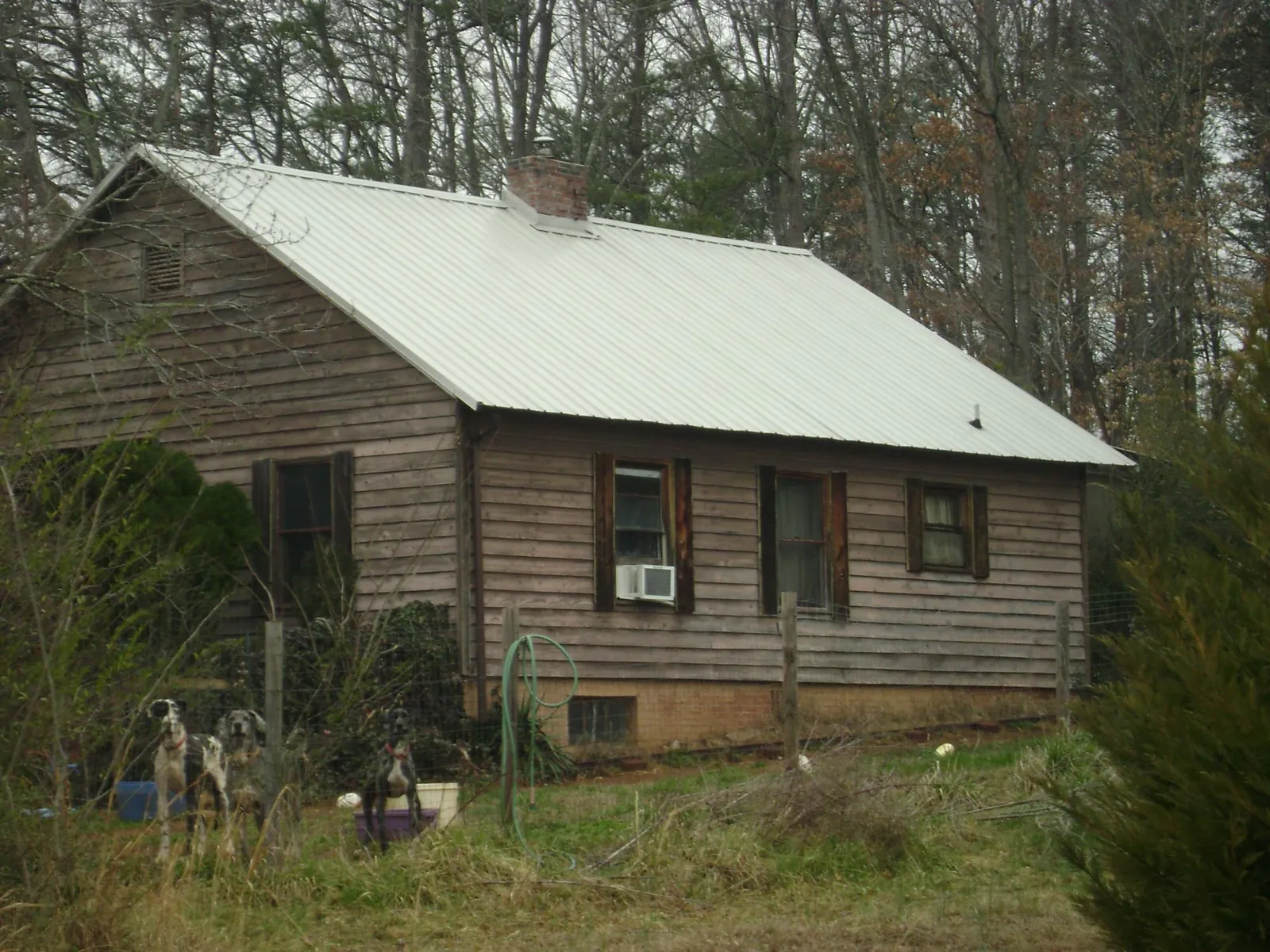 White metal roof on an old wood sided farmhouse, from a Asphalt Shingle Roof Repair job in Dunkirk